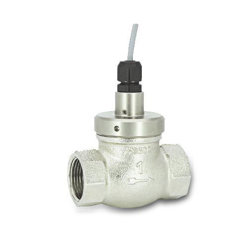 HONSBERG FF-...GR 流量开关